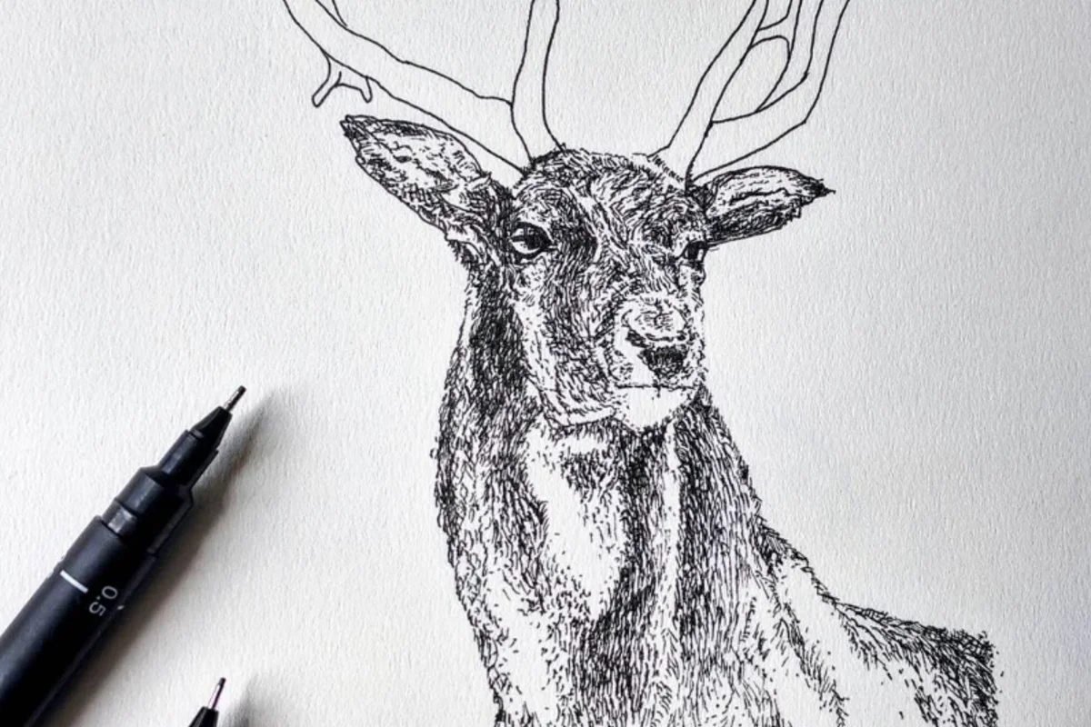 Tuš ilustracija jelena u tehnici šrafure, pored olovke za crtanje