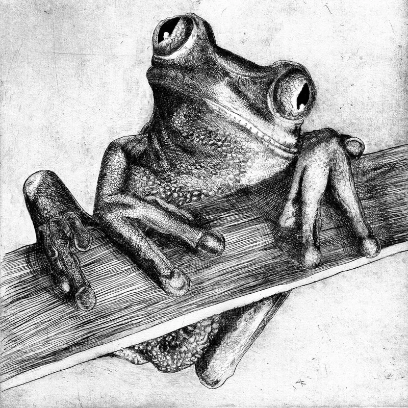 Fine art pen illustration — tree frog in stippling technique, approximately 1,200 hours of dot work
