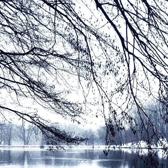 Winter lake under bare branches — Maksimir