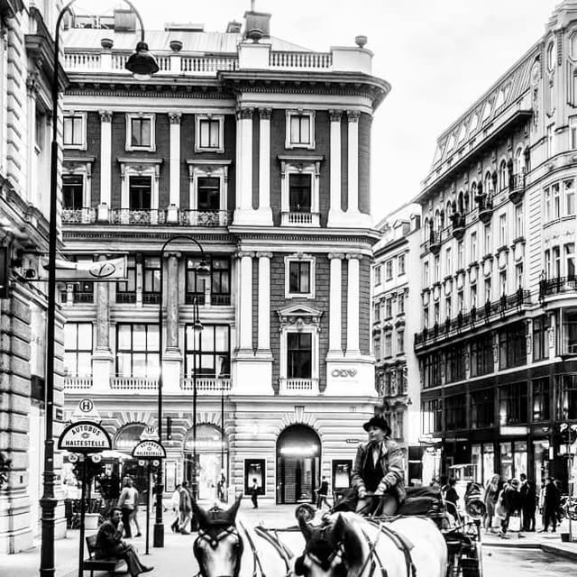 Vienna in black and white — Stephansplatz horse carriage