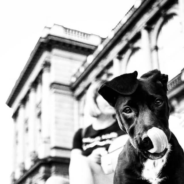 Ten thousand frames — a four-year stock photography practice, image 9 of 9